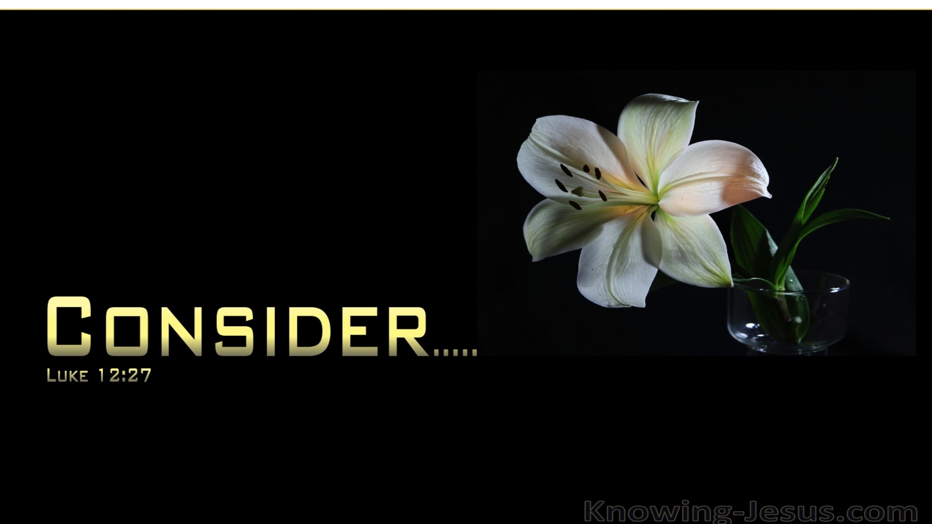 Luke 12:27 Consider The Lilies Of The Field (black)